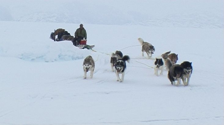 Dogsled arriving to the setting up camp area - Nanoq 2007 expedition