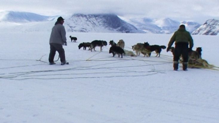 Mess of ropes and dogs during the dogsled route - Nanoq 2007 expedition