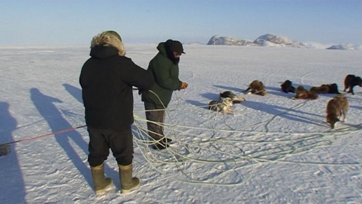 An Inuit untangle the ropes of the dog sled - Nanoq 2007 expedition