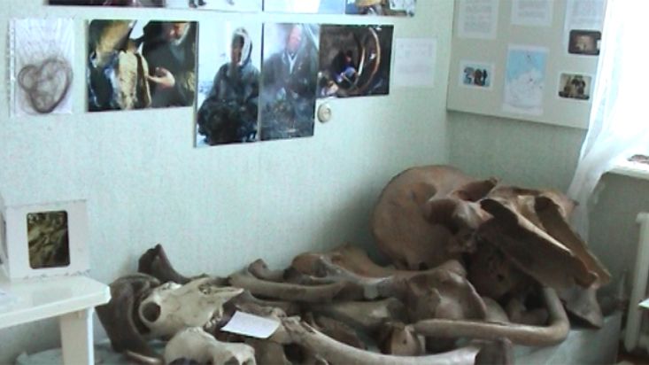 Remains of mammoths in the Khatanga museum - Geographic North Pole 2002 expedition