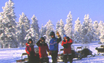 Incentive trip in Lapland -  Adventure under the Northern Lights