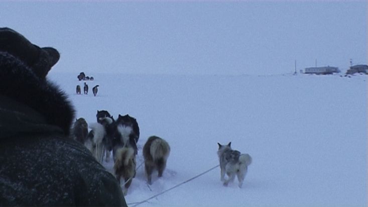 Arrival to Qikiqtarjuaq by dogsled - Nanoq 2007 expedition