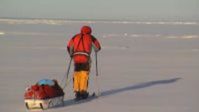 Polar expeditions