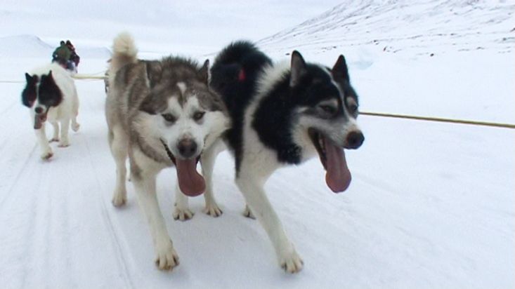 Dogsled route in the south of Broughton Island - Nanoq 2007 expedition