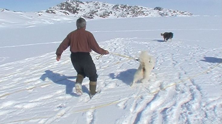 Preparing sleds and dogs to start the route of the day - Nanoq 2007 expedition