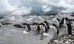 Antarctica Air - Cruise