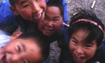 Incentive trip in Greenland - The Arctic pearl Incentive trip in Greenland - The Arctic pearl
