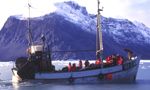 Incentive trip in Greenland - The Arctic pearl Incentive trip in Greenland - The Arctic pearl
