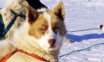 Inuit people and their land Inuit people and their land