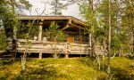 Autumn colours in Lapland