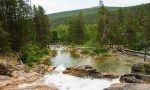 Autumn colours in Lapland