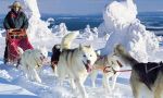 Levi: the best kept secret of Lapland