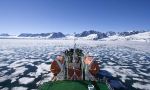 Navigation among the icebergs, the polar bear home Navigation among the icebergs, the polar bear home