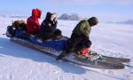 Searching polar bears by dog sleigh in Greenland
