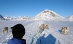 Dog sled expedition in the land of the last Inuit