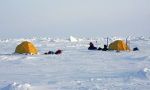 North Pole expedition on skis