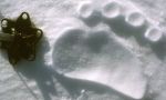 Ski expedition to the Magnetic North Pole Ski expedition to the Magnetic North Pole