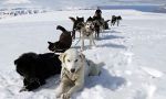 Svalbard in winter, the Geographic North Pole archipelago