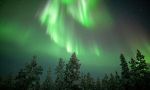 Dog sleighing safari in Lapland Great dogsled route in Lapland