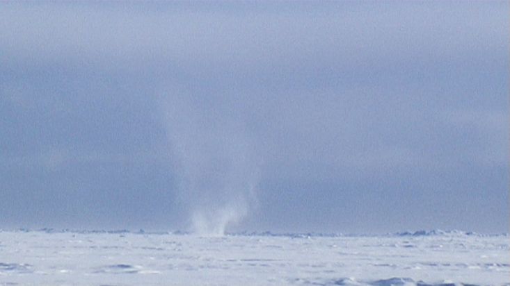 A tornado of snow in Devon Island - Nanoq 2007 expedition